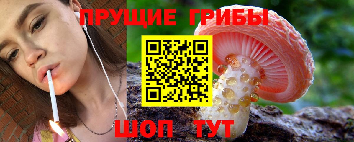 Фурманов  Галлюциногенные грибы прущие грибы  Вход с VPN 