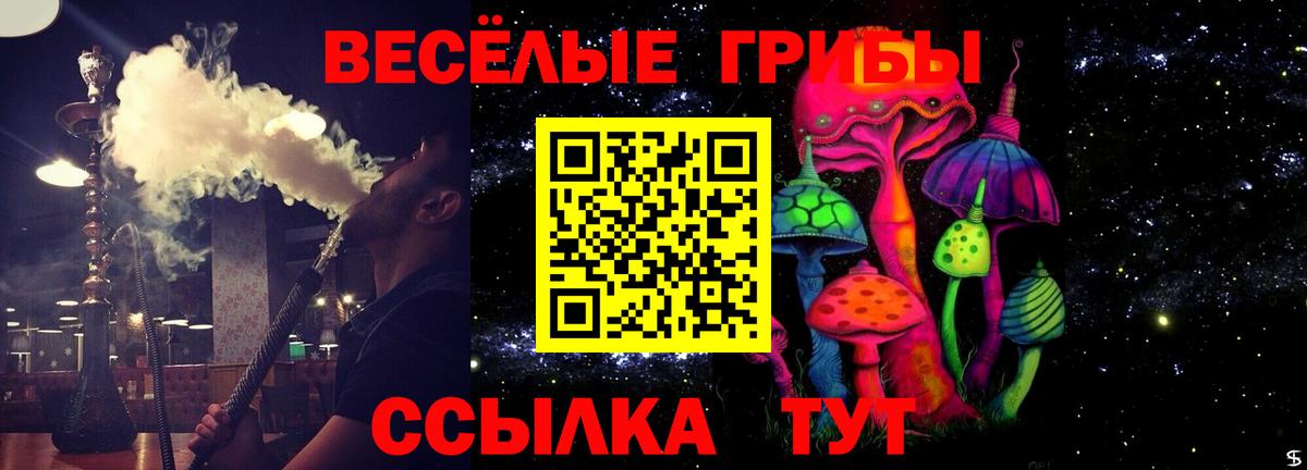 Псилоцибиновые грибы прущие грибы Фурманов